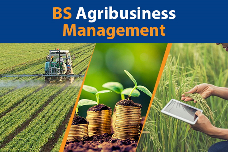 Bachelor Of Science In Agribusiness Education In Philippines