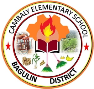 Cambaly Elementary School - Education in Philippines